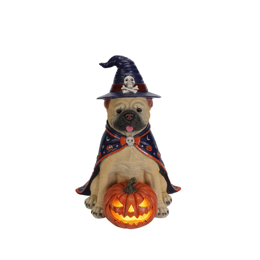 Front view bulldog witch Halloween statue with glowing orange jack-o-lantern