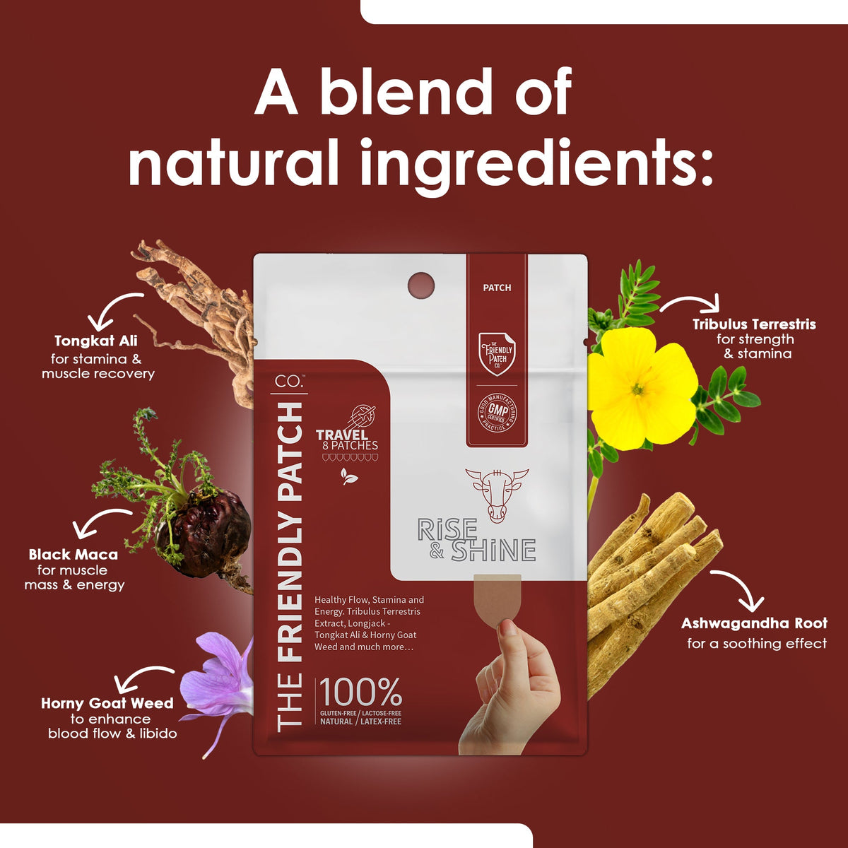 Travel patch pack with illustrated natural ingredient images around the pouch
