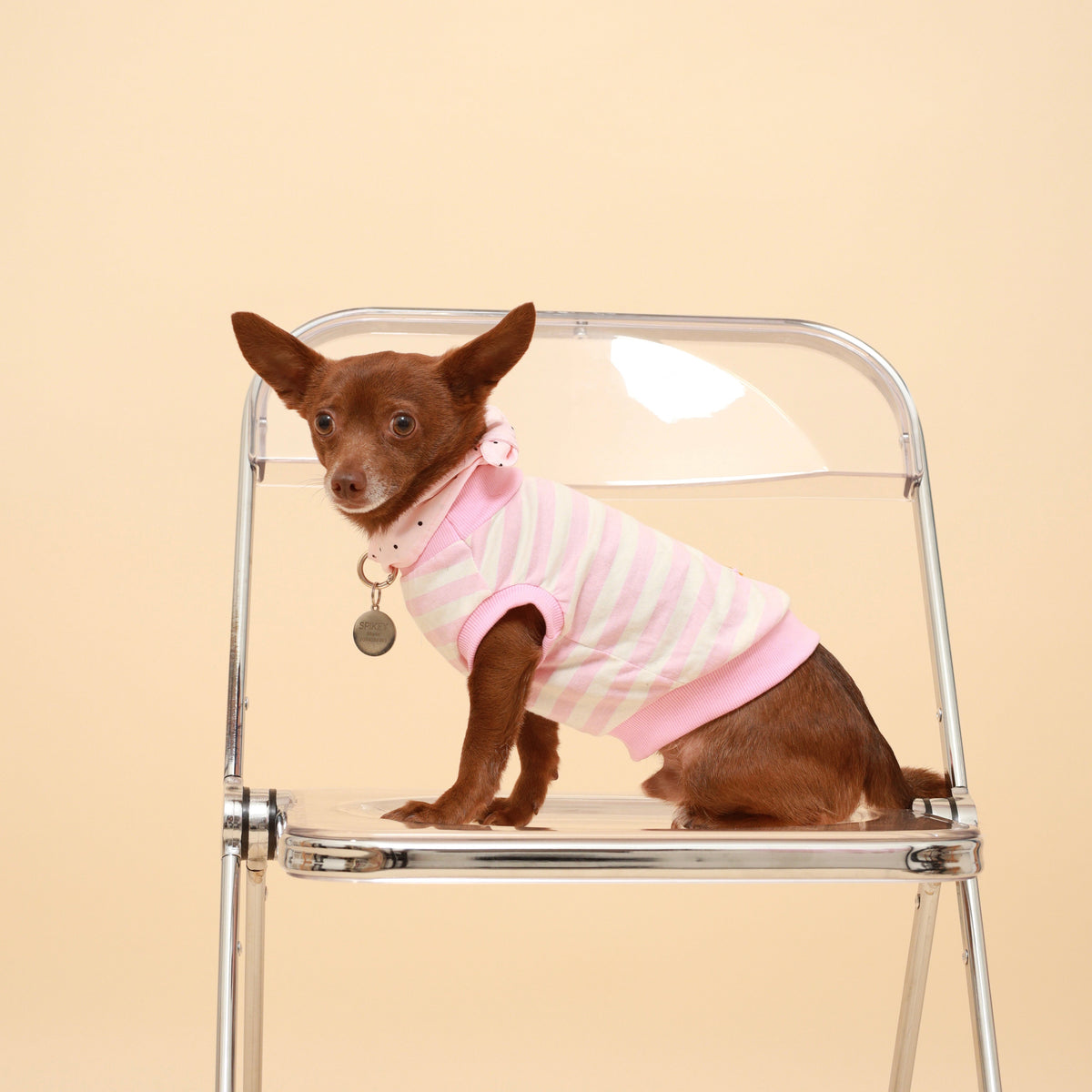Pink striped dog neckerchief with tie