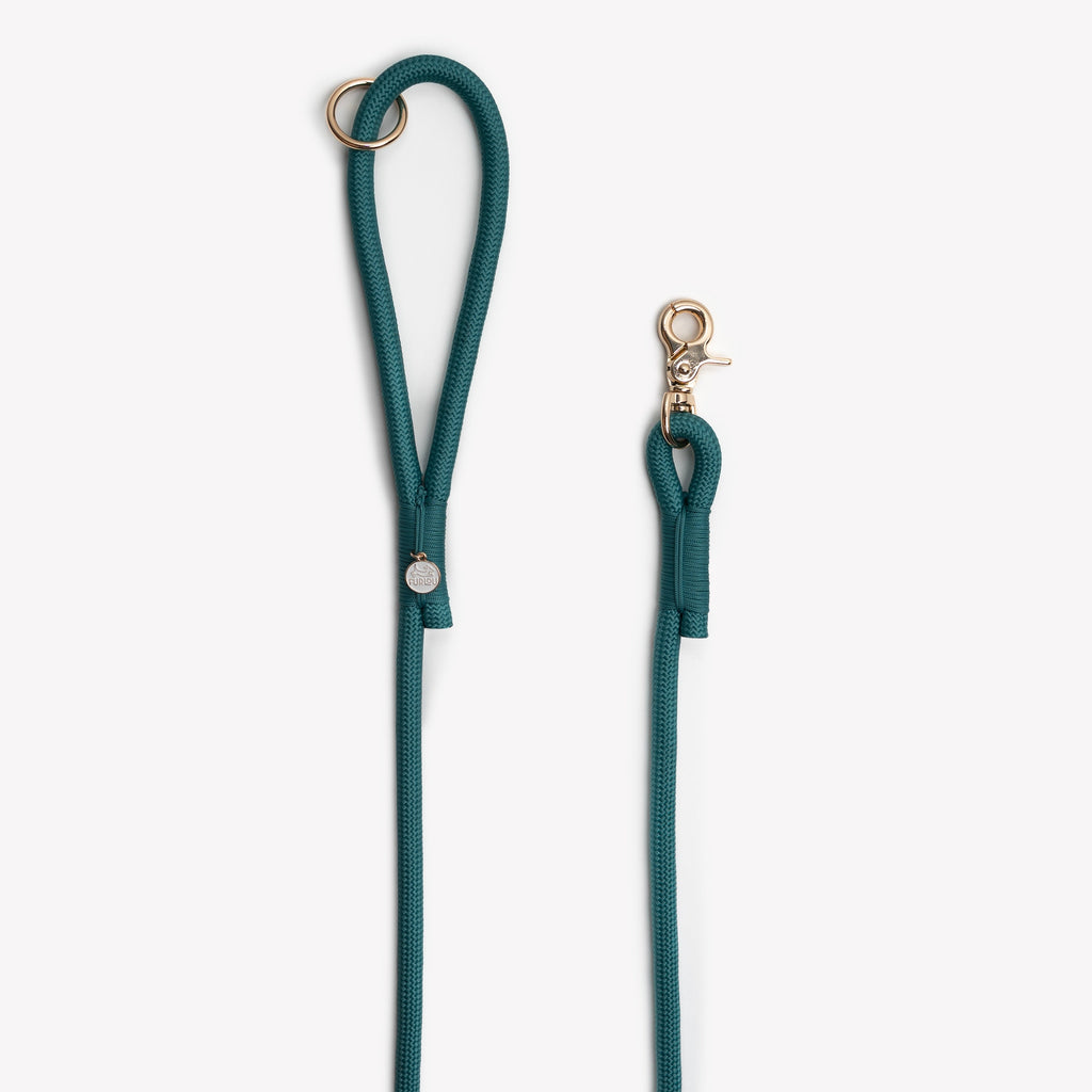 Teal braided rope dog leash with clasp hardware and small round tag