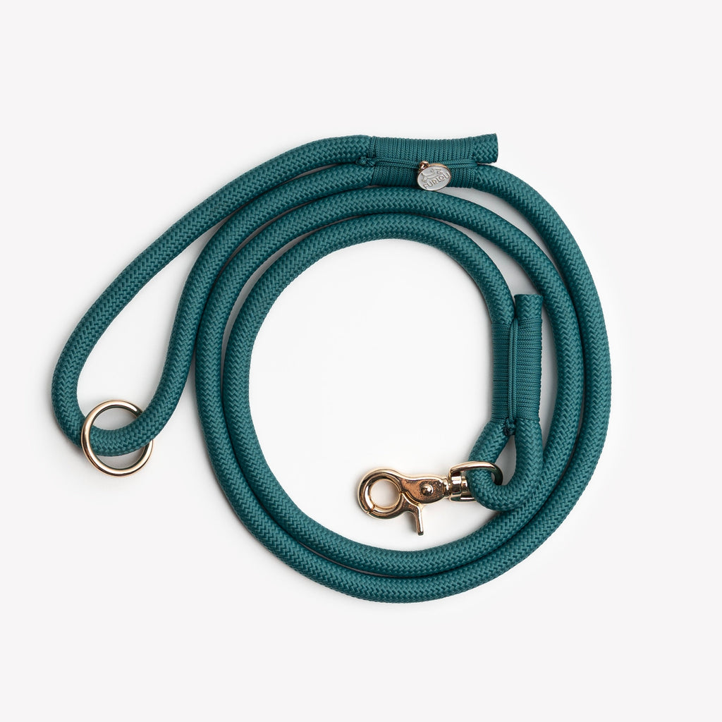 Teal braided rope dog leash with round metal clip and adjustable end strap