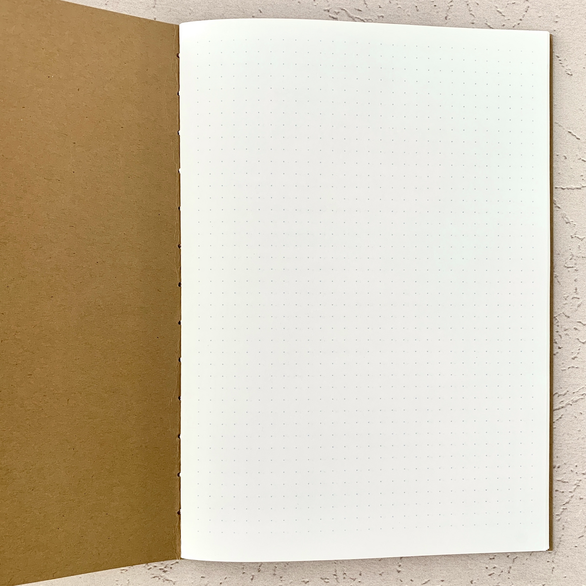 A5 dot grid notebook insert open with kraft cover and full-page dot pattern