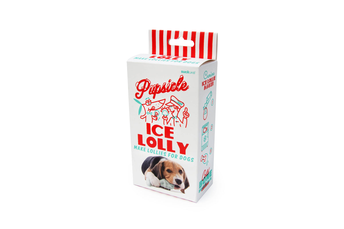 Pupsicle dog ice lolly maker in a printed box