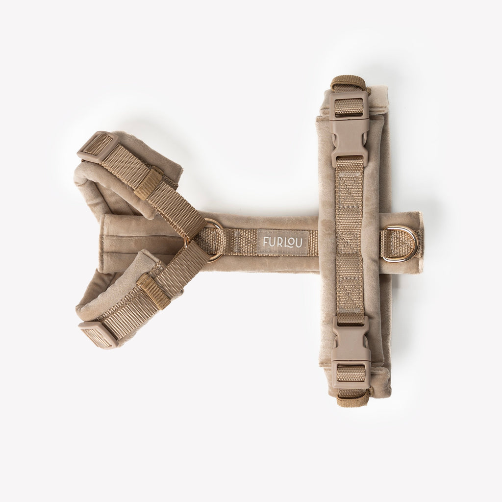 Sand velvet dog harness with padded chest panel, multiple straps, and leash D-ring