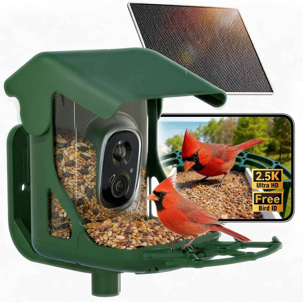 Green solar bird feeder with camera, seed hopper, and two red cardinals