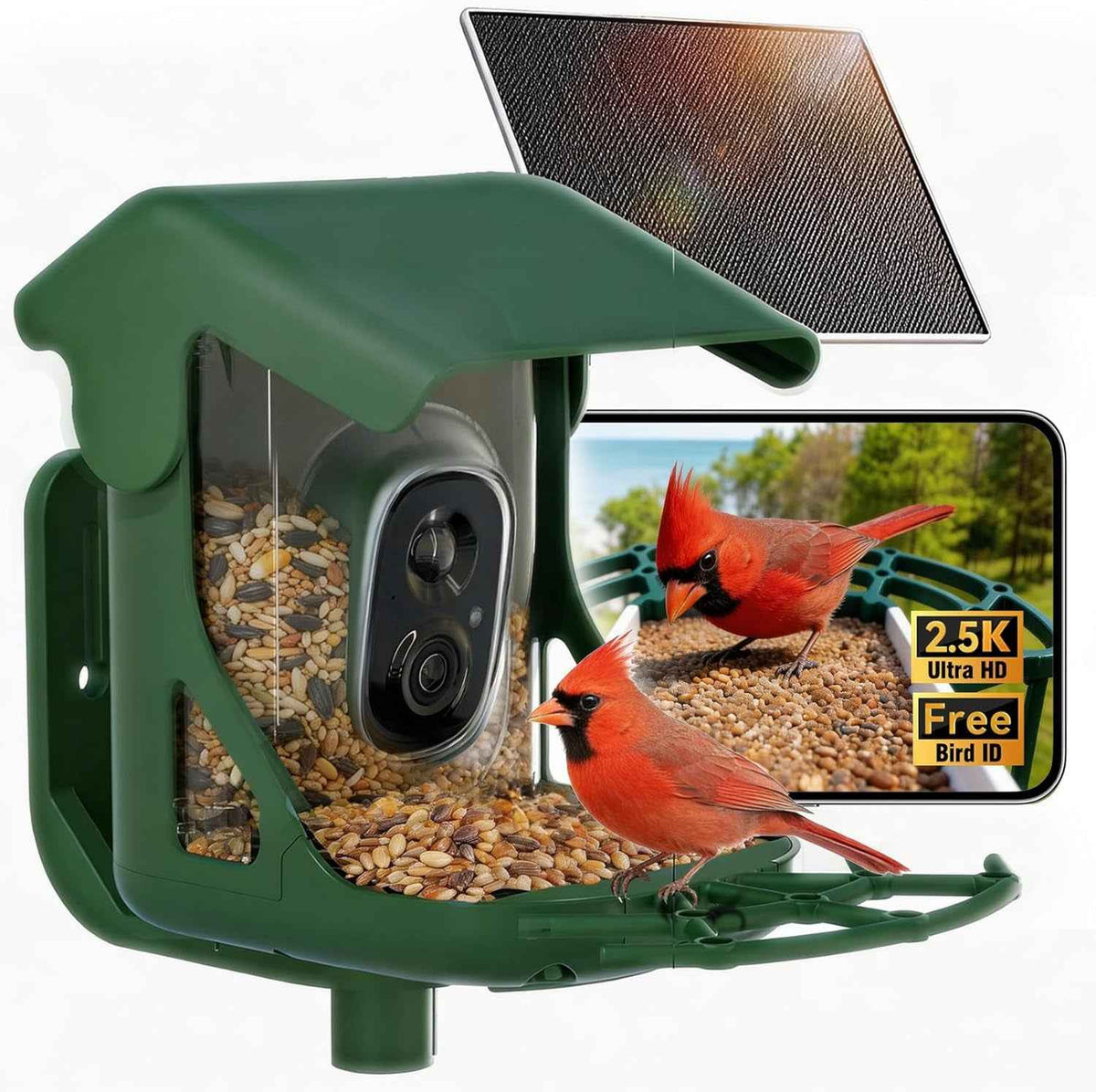 Green solar bird feeder with camera, seed hopper, and two red cardinals