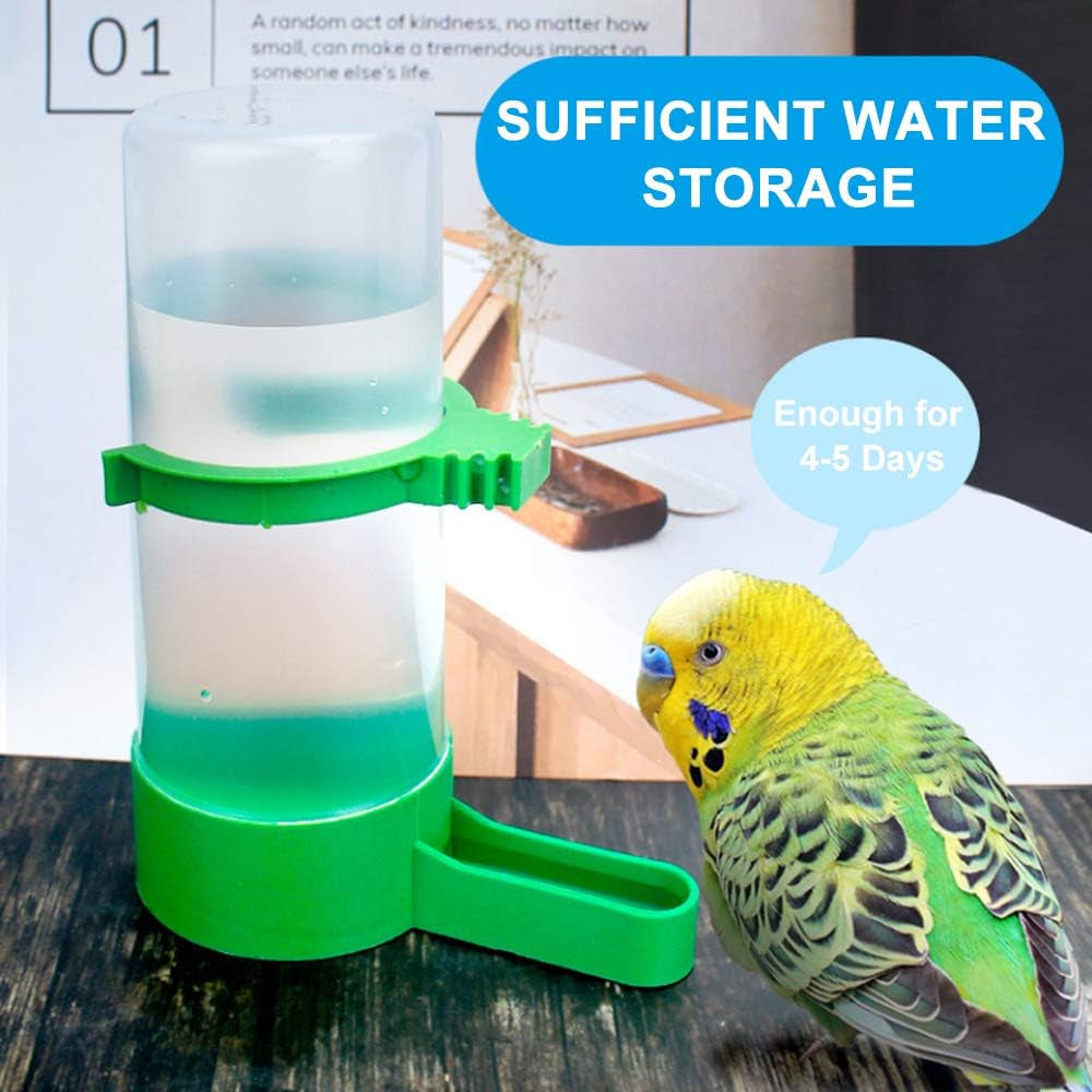 Clear water dispenser with green base and drinking trough beside a budgie