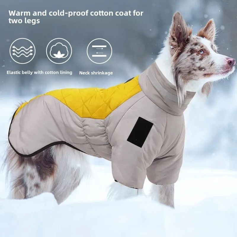 Dog winter jacket with quilted gray body and yellow hood panel, full coverage