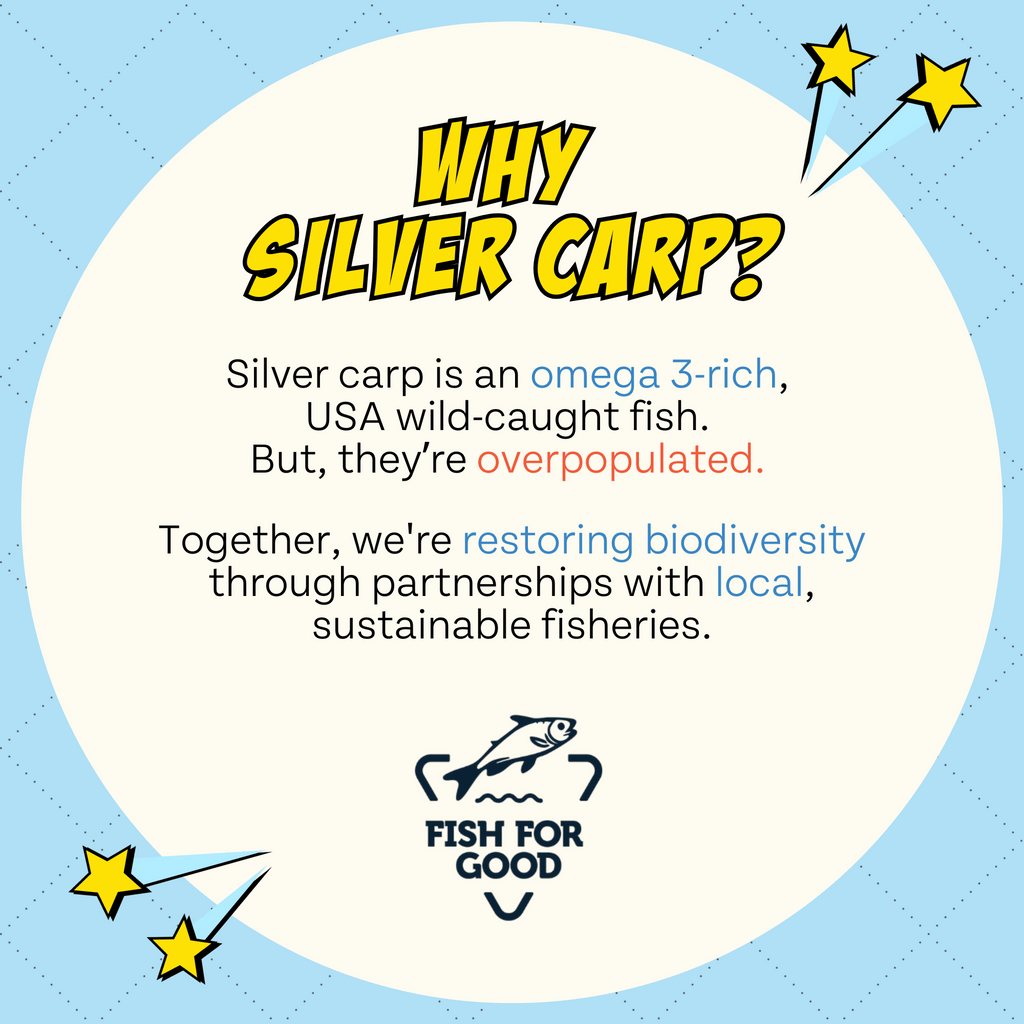 Circular info graphic reading “Why Silver Carp?” with fish for good icon.
