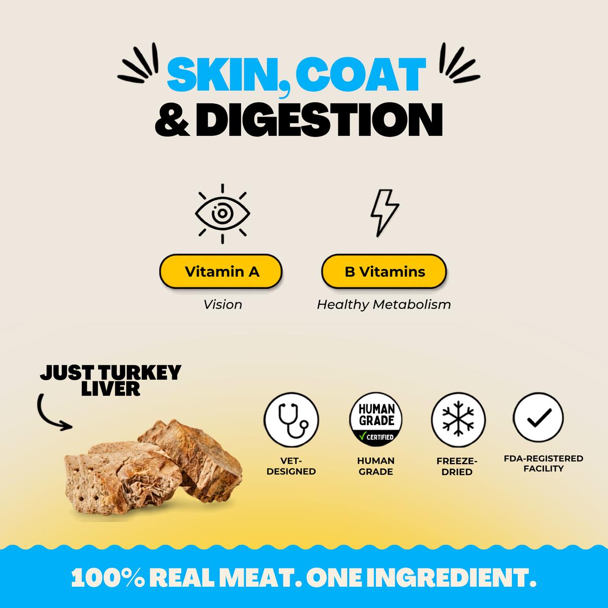 Freeze-dried turkey liver treats infographic: skin, coat & digestion benefits