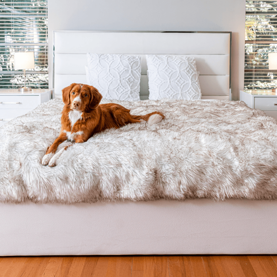 White faux-fur waterproof throw blanket laid on a bed, plush shag texture