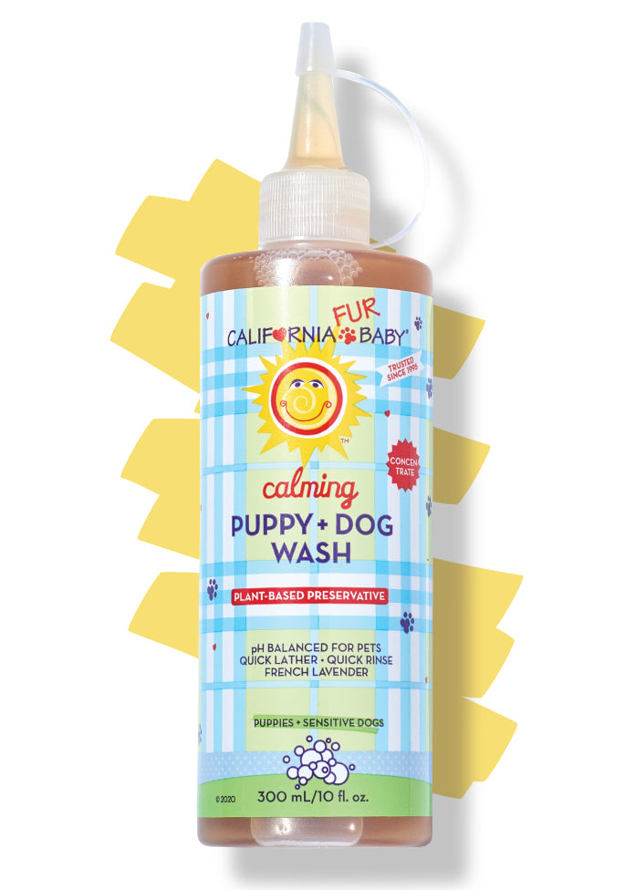 Puppy and dog wash bottle with pump, bright label with yellow graphic burst