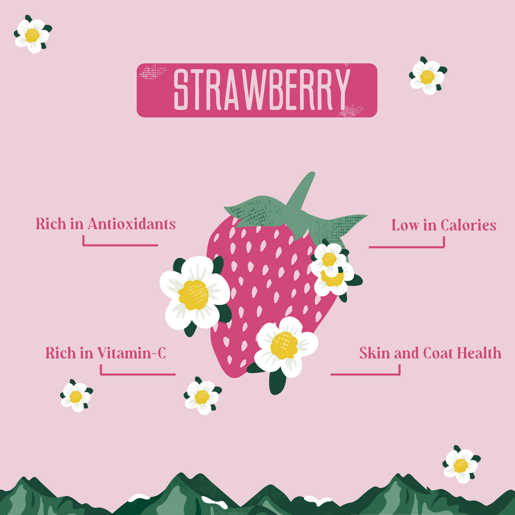 Strawberry cheese chew infographic with strawberry illustration and product benefits text