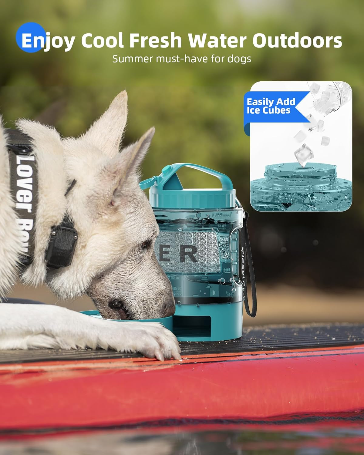 Teal portable dog water bottle with a fold-out bowl beside a dog