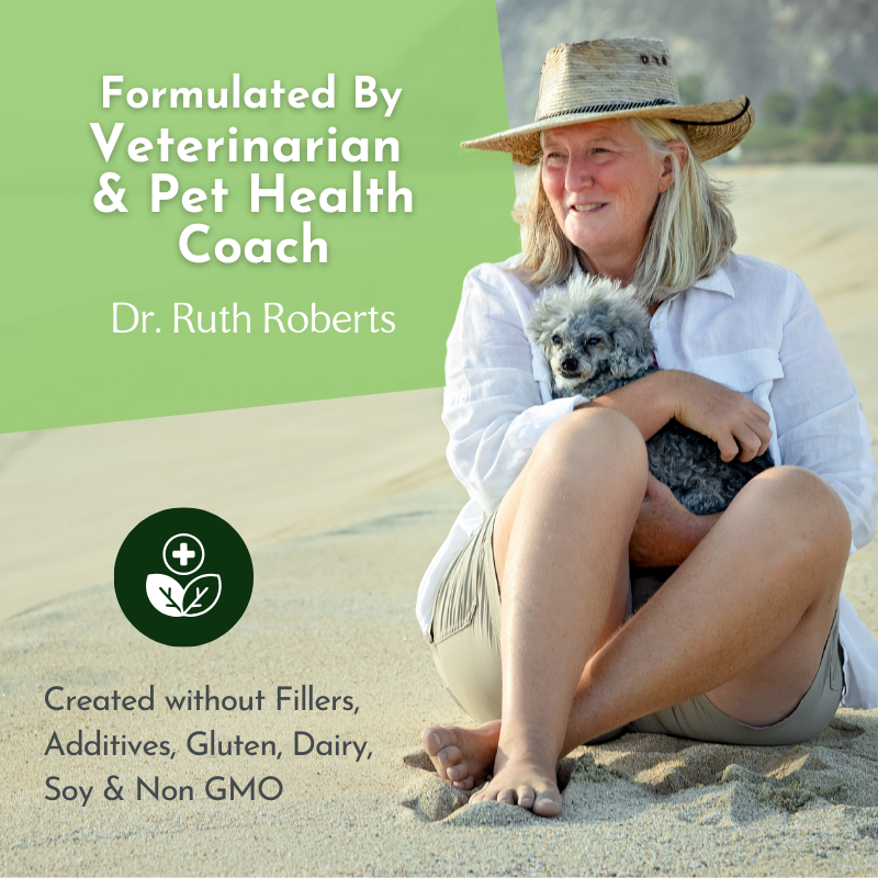 Pet supplement image with veterinarian and pet health coach, shown with small dogs