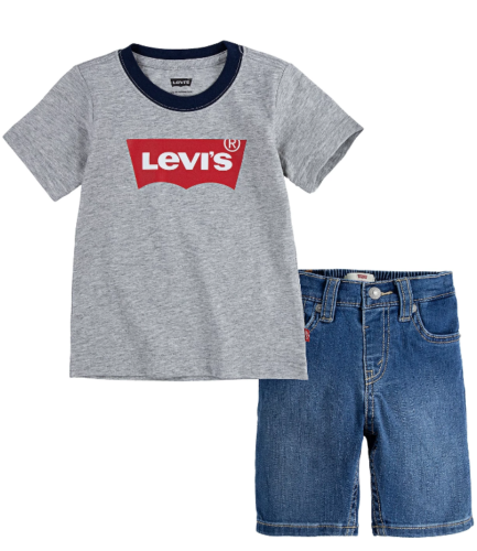 Levi's baby boys gray heather T-shirt and blue denim shorts set, 24 months