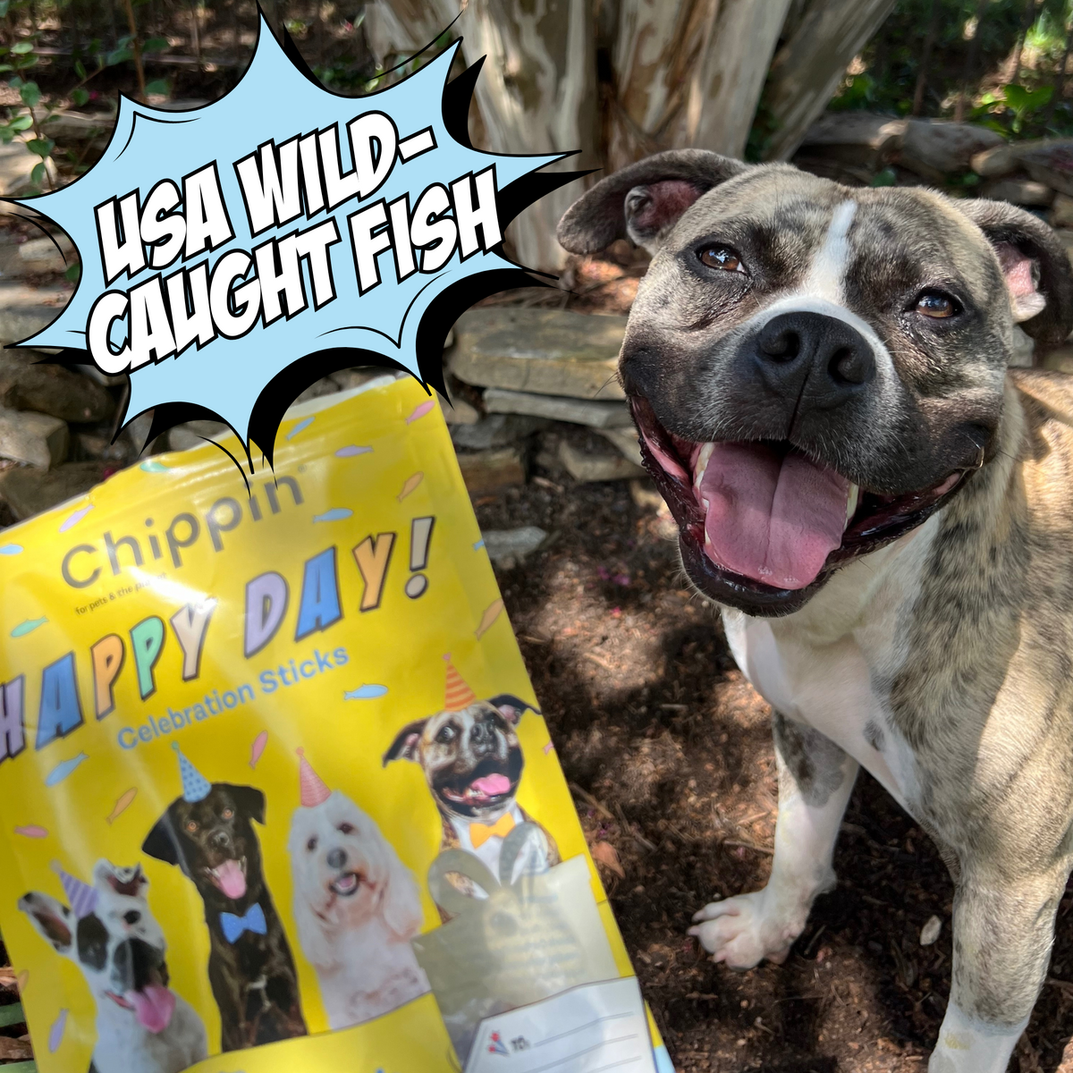 Dog next to yellow Wild-Caught Fish celebration sticks treat pouch