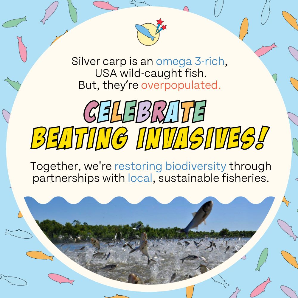 Wild-caught silver carp information panel with Celebrate Beating Invasives text