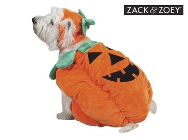 Pumpkin dog costume in orange plush with black jack-o’-lantern face and teal leaf details