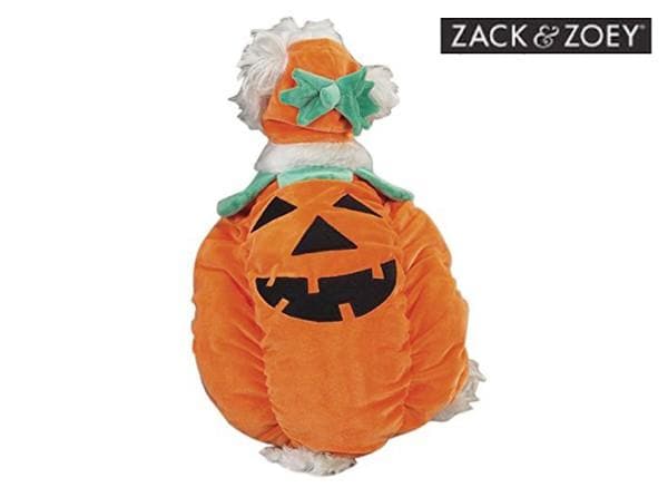 Pumpkin dog costume with green leaf collar and orange plush body, jack-o’-lantern face