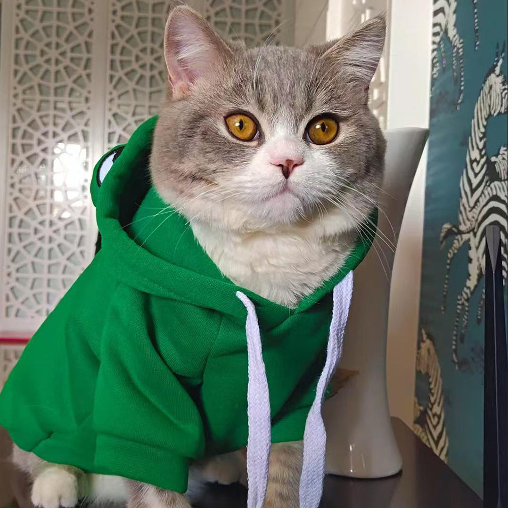 Gray cat wearing green frog pet hoodie with hood eyes and white drawstring ties
