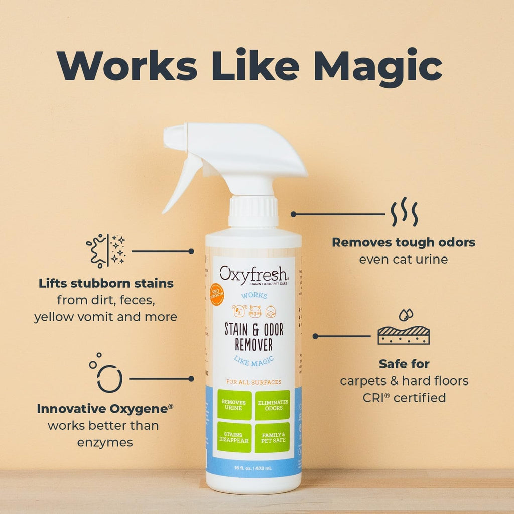 Oxyfresh stain and odor remover spray bottle with cleaning benefit details