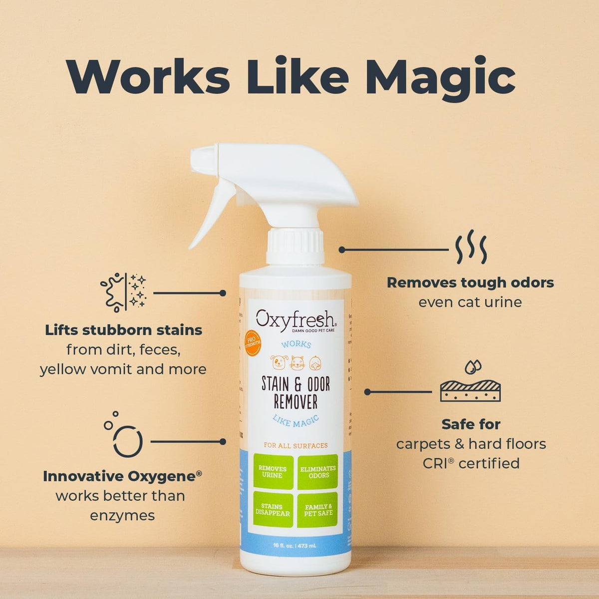 Oxyfresh stain and odor remover spray bottle with cleaning benefit details