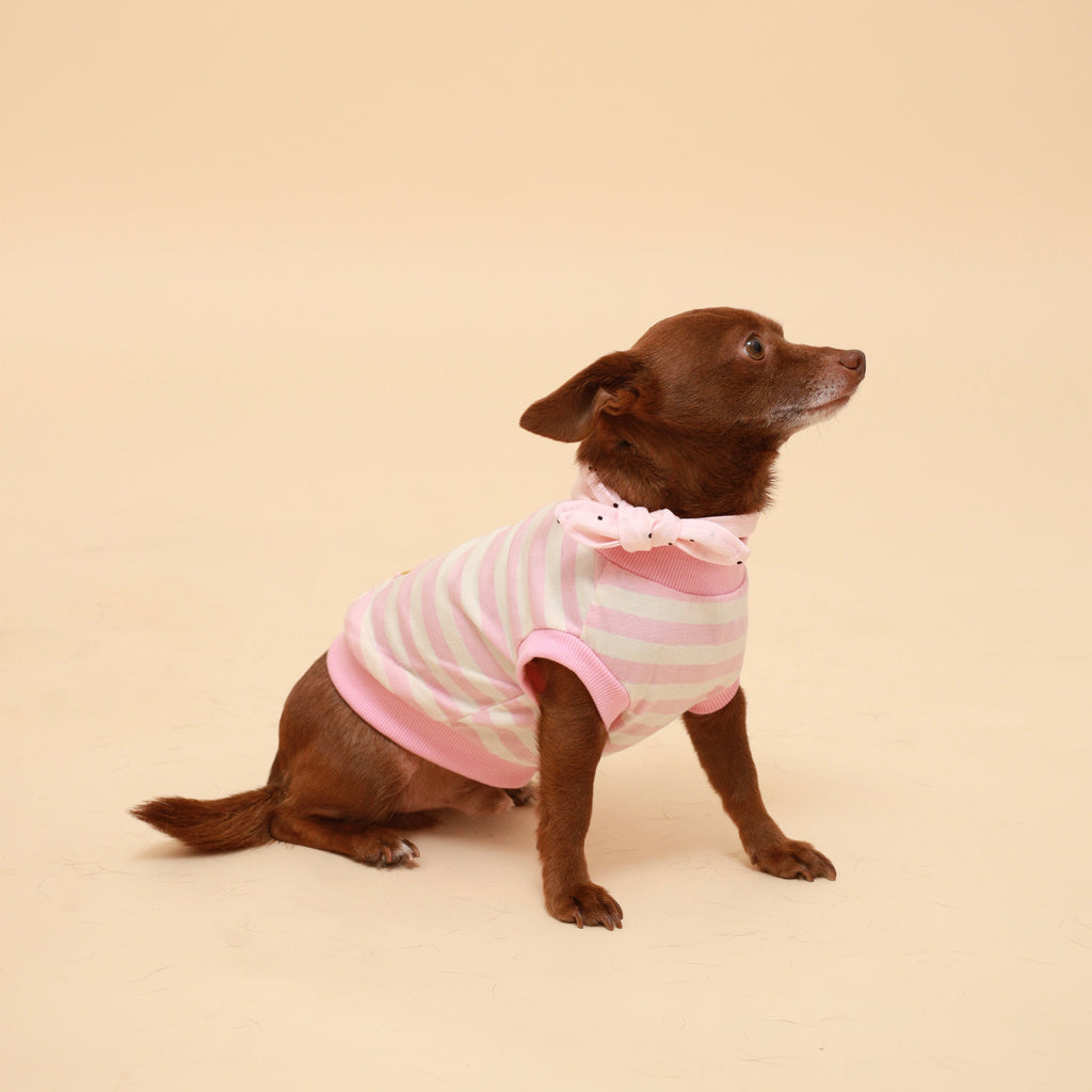 Pink striped dog neckerchief with bow tie