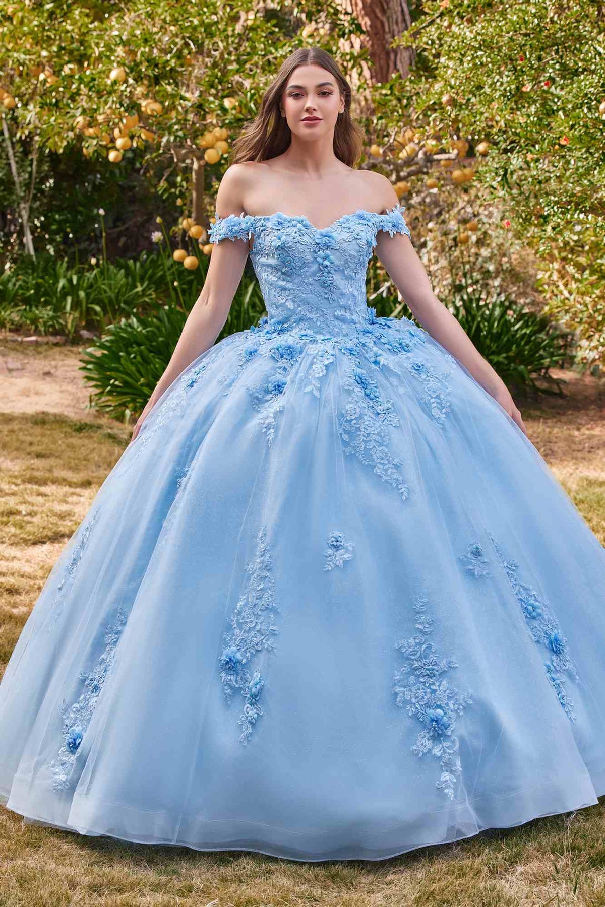Light blue off-shoulder ball gown with floral lace appliques and full tulle skirt