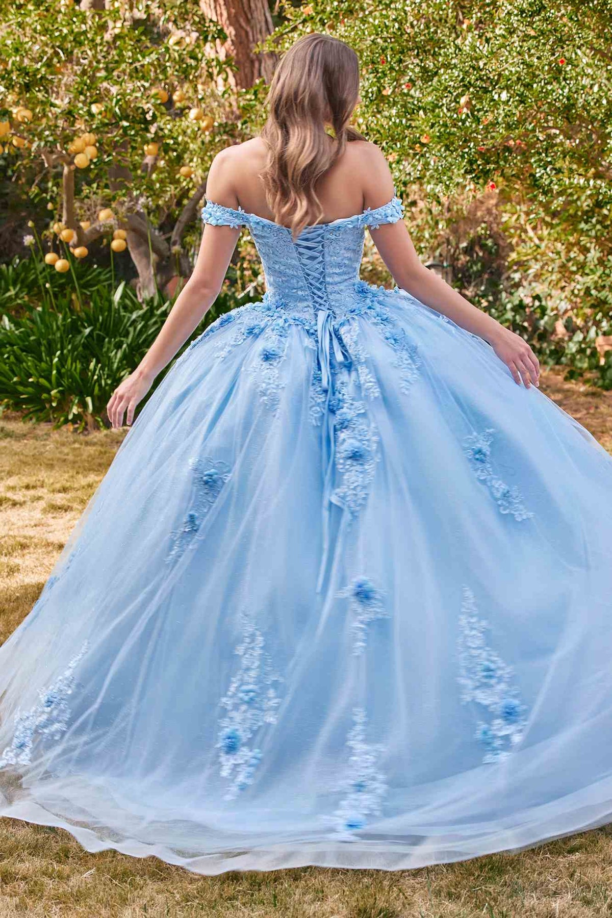 Light blue off-shoulder ball gown showing the back, lace appliques, and full skirt