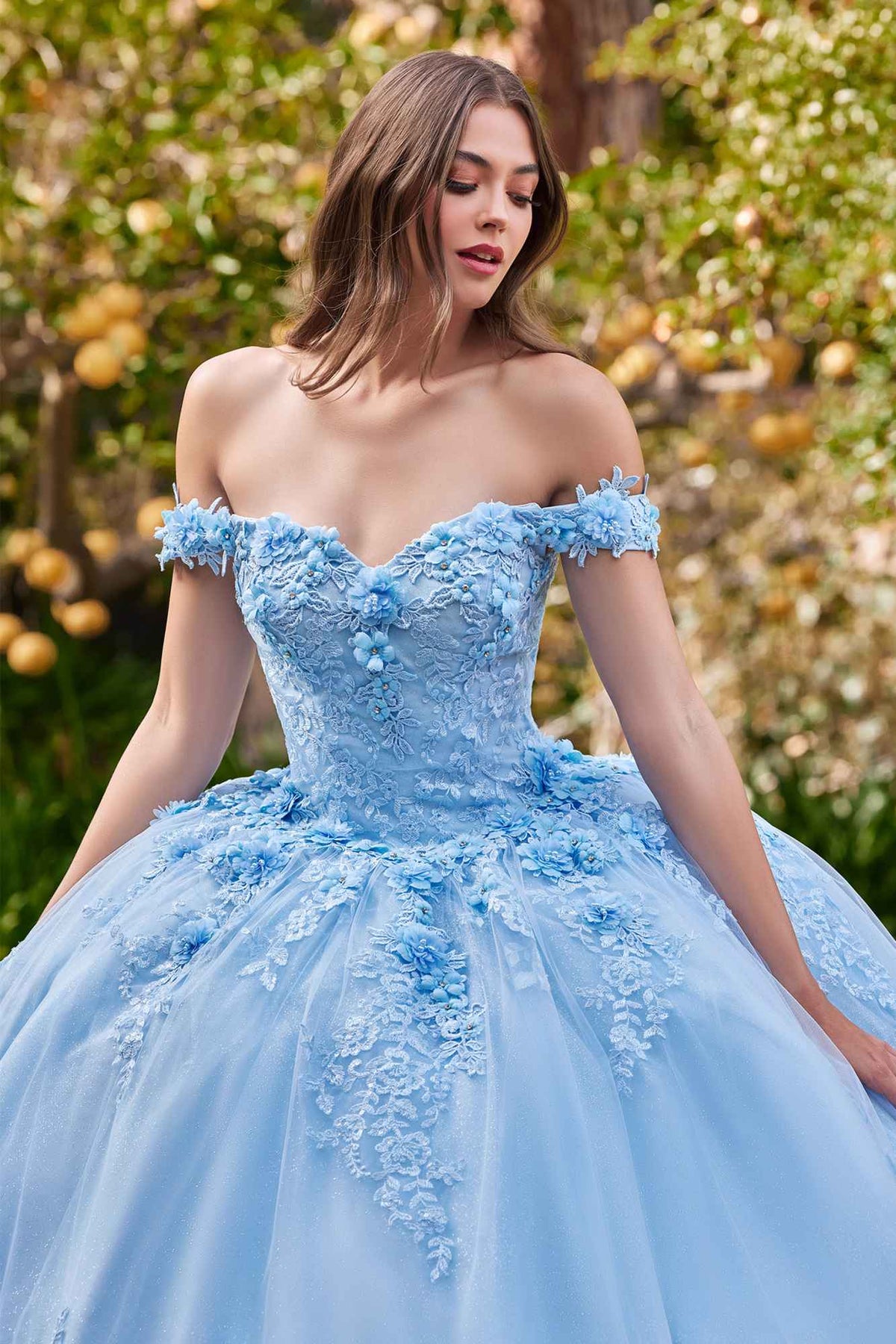 Light blue off-shoulder ball gown with lace bodice and layered tulle skirt detail
