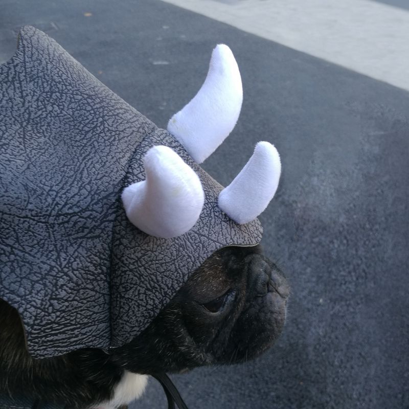Grey textured triceratops pet hat with two white side horns and centered horn