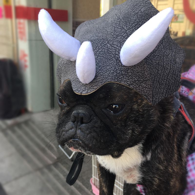 Grey triceratops-style pet dinosaur hat with white horns and textured fabric