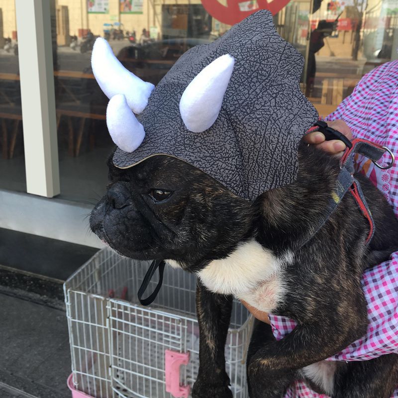 Grey triceratops pet hat costume on a dog head with white horn details