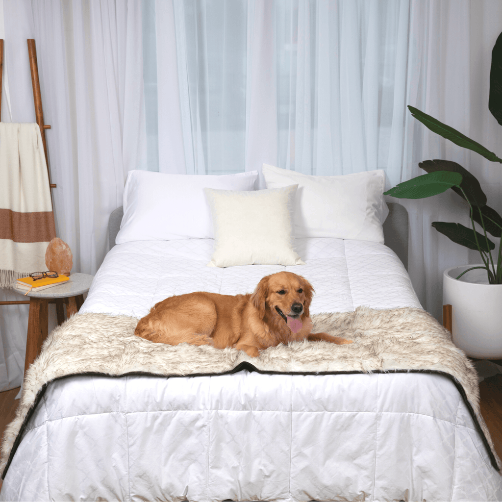 White faux fur waterproof pet bed runner with brown accents, centered on a bed