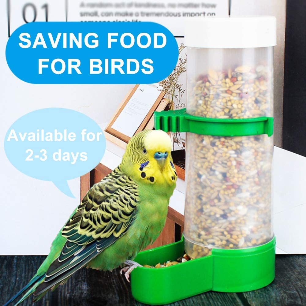 Clear seed feeder with green tray filled with birdseed beside a budgie