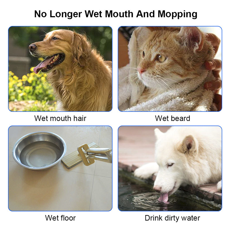 White pet water bowl and dispenser with dark top tray shown in a comparison panel