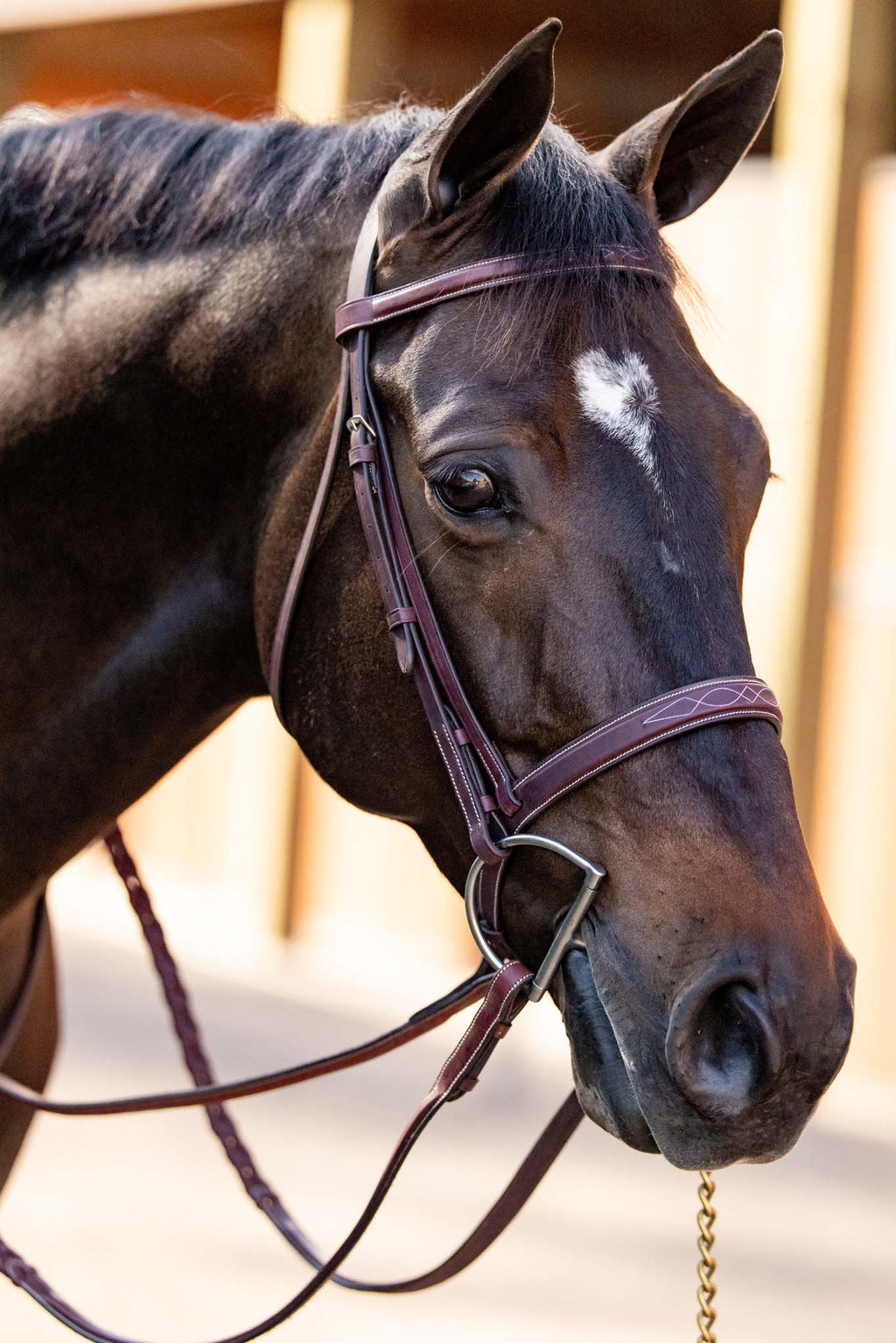 Equestrian brown leather schooling reins with fancy stitching and laced trim on a horse