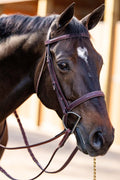 Equestrian brown leather schooling reins with fancy stitching and laced trim on a horse