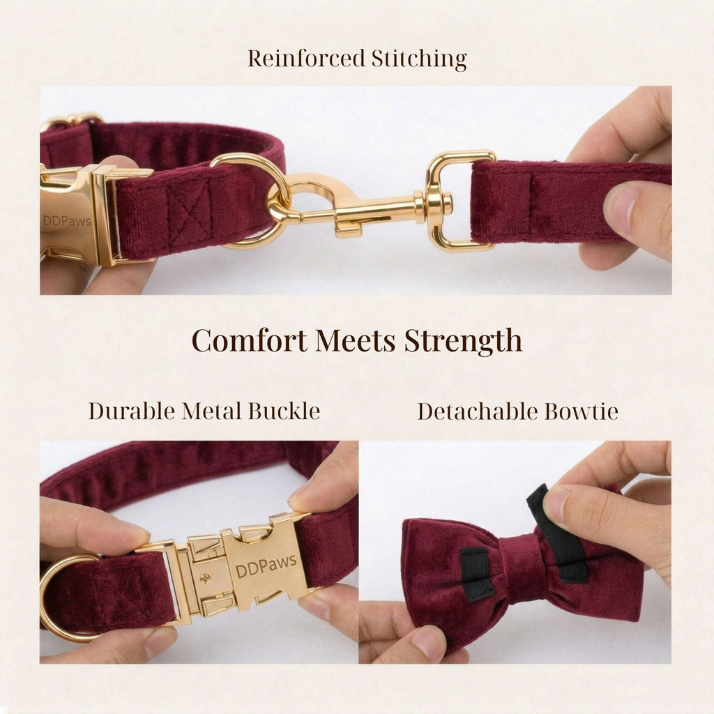 Burgundy velvet dog harness and collar with reinforced stitching and metal buckle