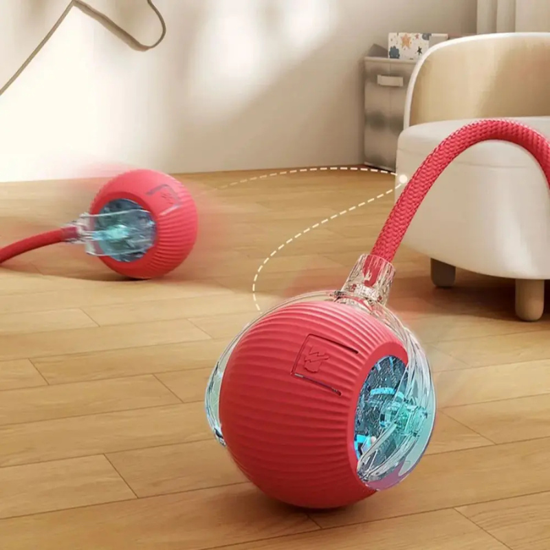 Red interactive cat ball toy with clear window and red rope tether