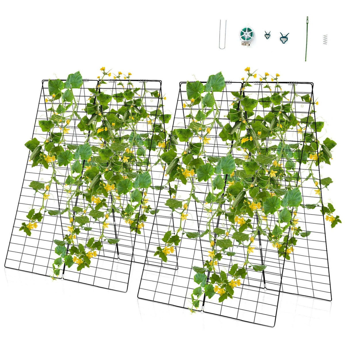 Two green A-frame trellis supports covered with leafy climbing vines and blossoms