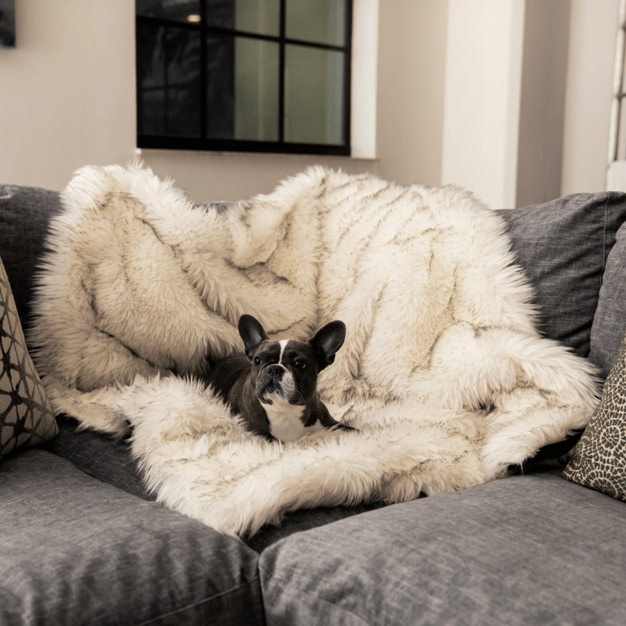 White faux-fur waterproof throw blanket spread on a sofa seat with plush shag pile