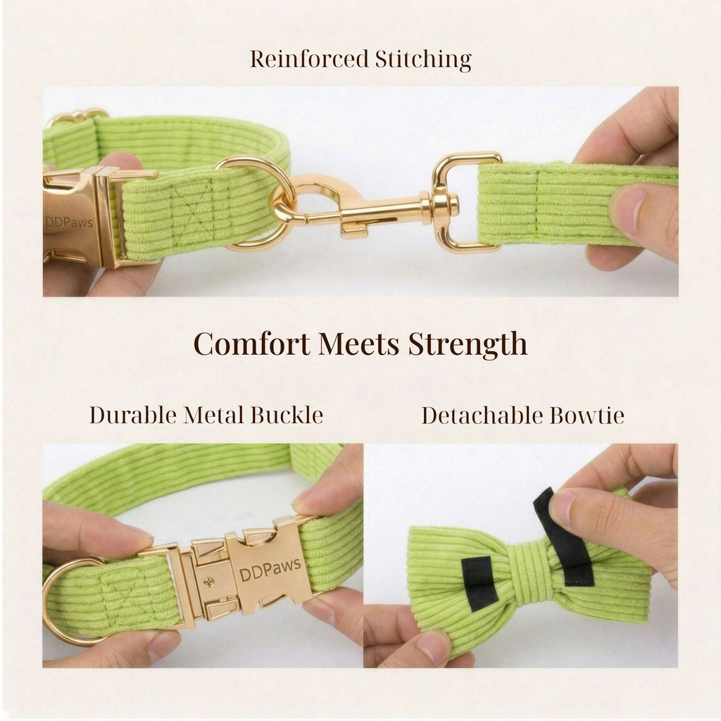 Apple green corduroy dog harness close-up with metal buckle and detachable bow tie