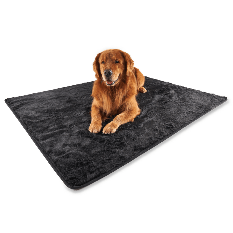 Midnight black faux-fur waterproof throw blanket laid flat with golden retriever.
