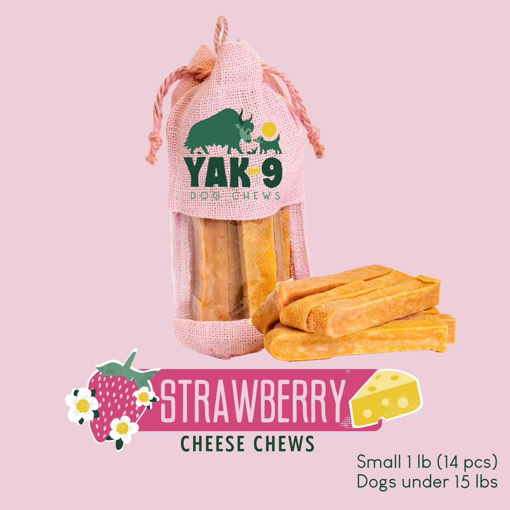 Strawberry cheese dog chews pouch, Small 1 lb (14 pcs), with orange chew slabs