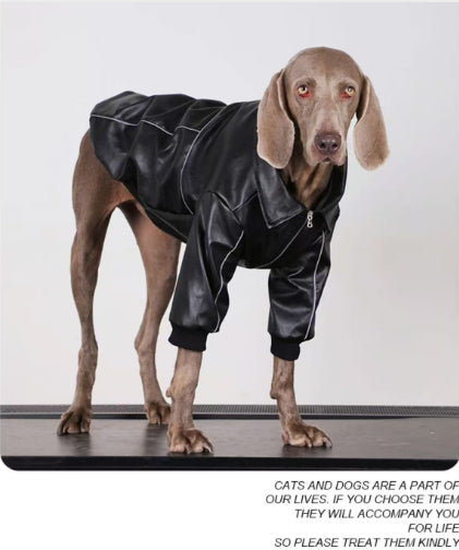 Black dog leather jacket with zipper and elastic cuffs, angled front view with legs visible