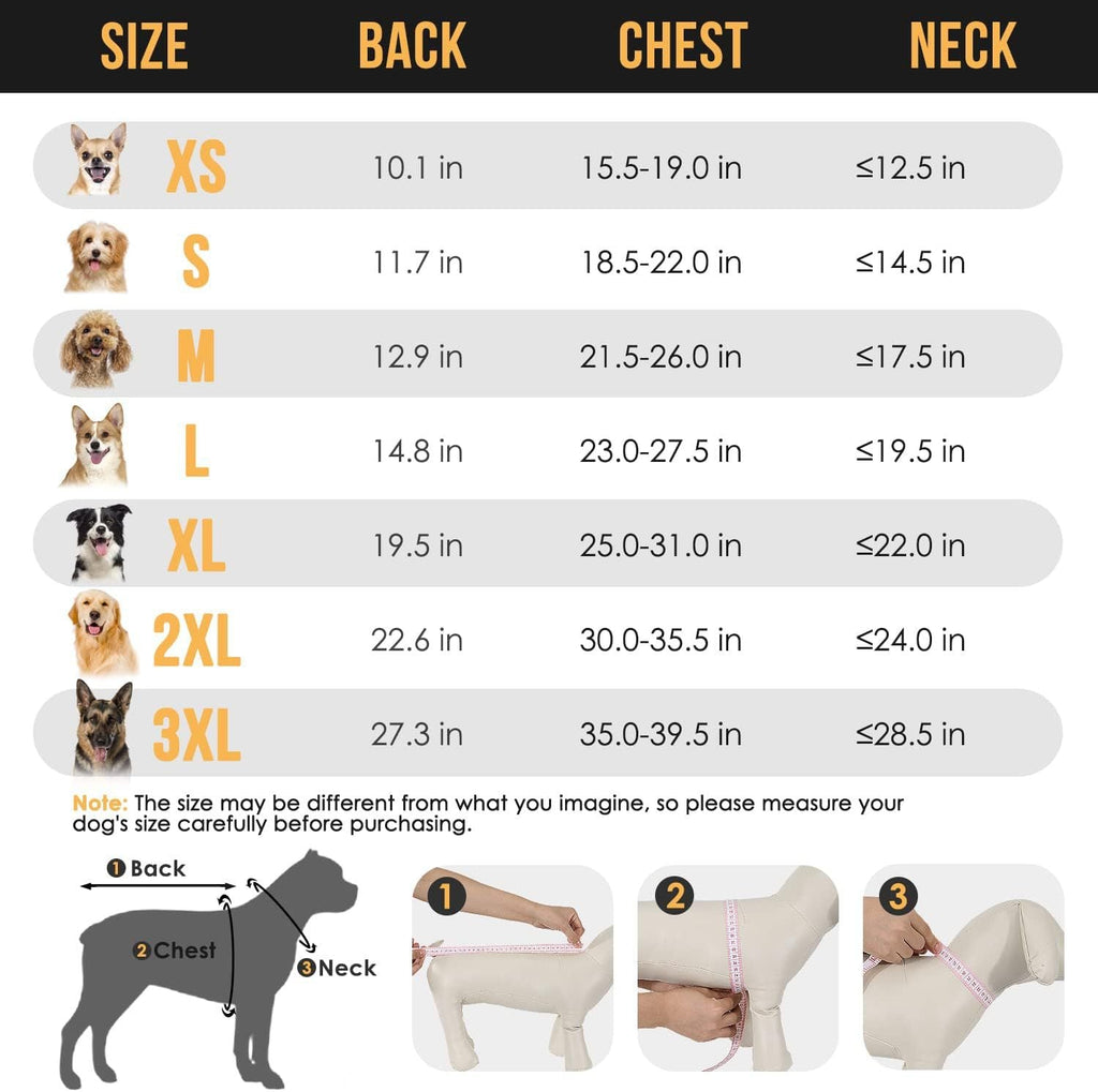 Dog raincoat size chart with back, chest, and neck measurements