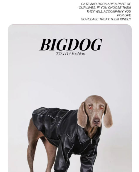 Black dog leather jacket with front zipper and elastic cuffs, centered product card view