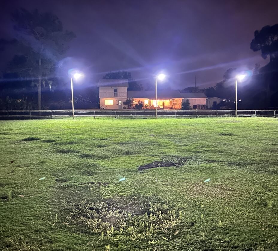 Solar parking lot lights glowing at night along a field, four lamps visible